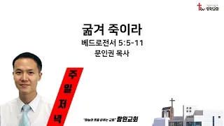 썸네일이미지