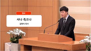 썸네일이미지