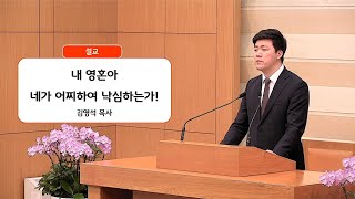 썸네일이미지