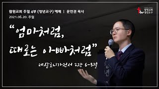 썸네일이미지
