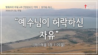 썸네일이미지