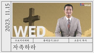 썸네일이미지