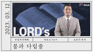 썸네일이미지