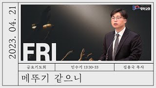 썸네일이미지