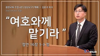 썸네일이미지